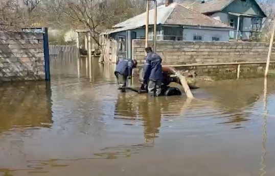 FHN: İntensiv yağışlarla əlaqədar yaranan fəsadların aradan qaldırılması davam etdirilir - VİDEO 