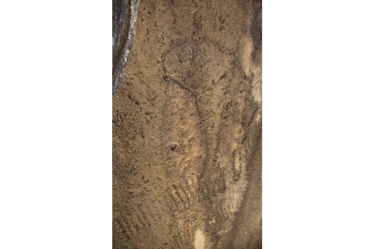 Qobustan qoruğunda yeni qayaüstü təsvirlər aşkar olunub - FOTO 
