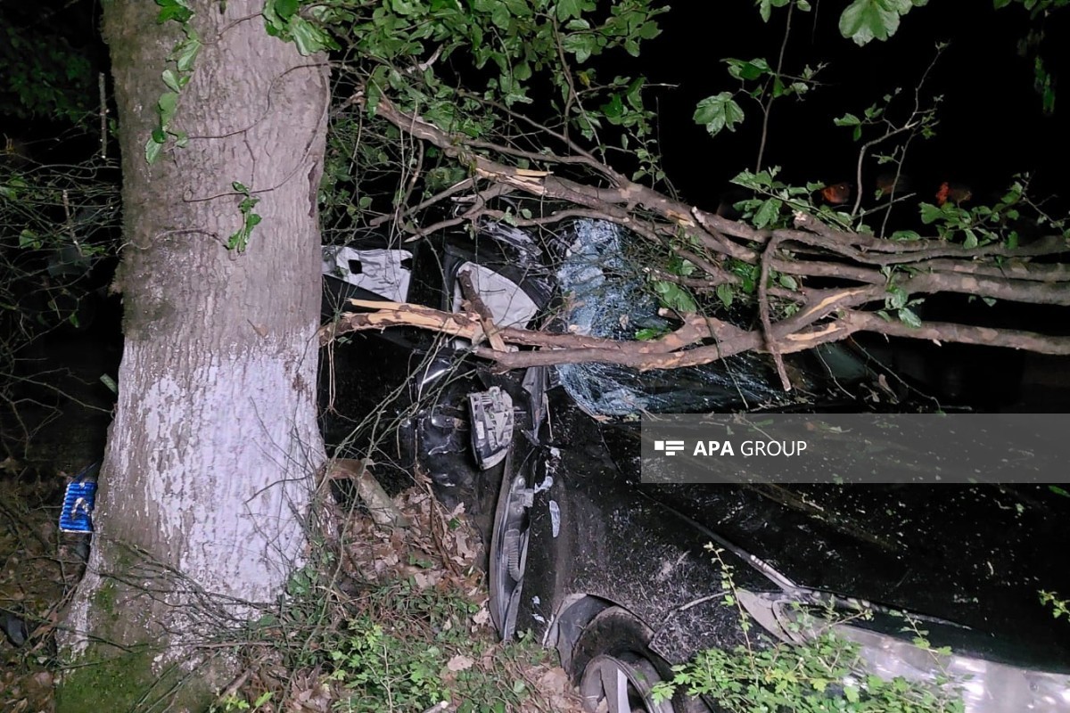 Lənkəranda avtomobil ağaca çırpılıb, ölən var