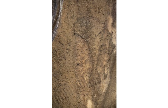 Qobustan qoruğunda yeni qayaüstü təsvirlər aşkar olunub - FOTO 