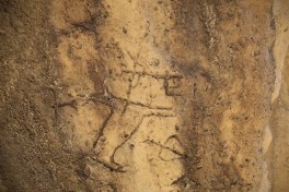 Qobustan qoruğunda yeni qayaüstü təsvirlər aşkar olunub - FOTO 