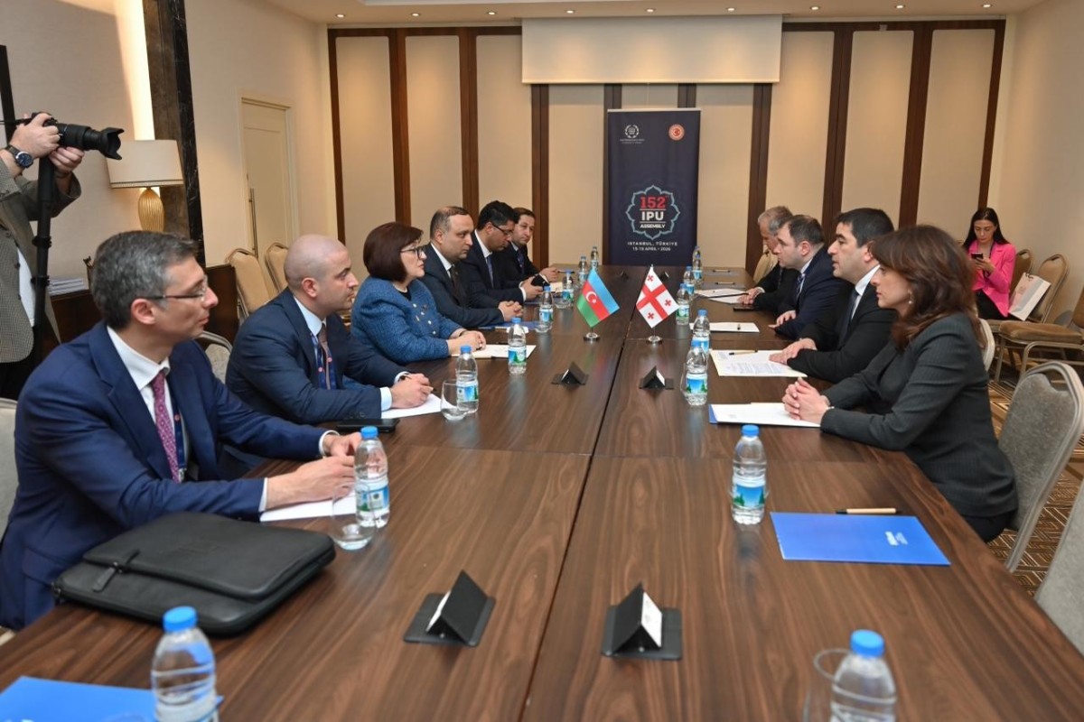 Sahibə Qafarova  Gürcüstan parlamentinin sədri ilə görüşüb - FOTO 