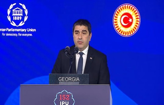 Gürcüstan parlamentinin sədri Şalva Papuaşvili