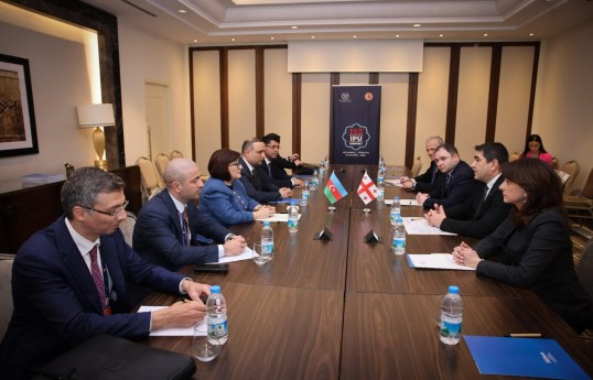 Azərbaycan və Gürcüstanın parlament sədrləri regional sülhü müzakirə edib