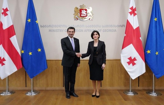 Gürcüstanın xarici işlər naziri Maka Boçorişvili və Türkiyənin Gürcüstandakı səfiri Türker Arı