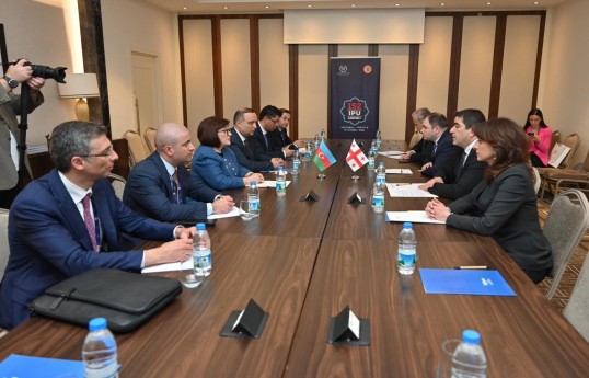 Sahibə Qafarova  Gürcüstan parlamentinin sədri ilə görüşüb - FOTO 