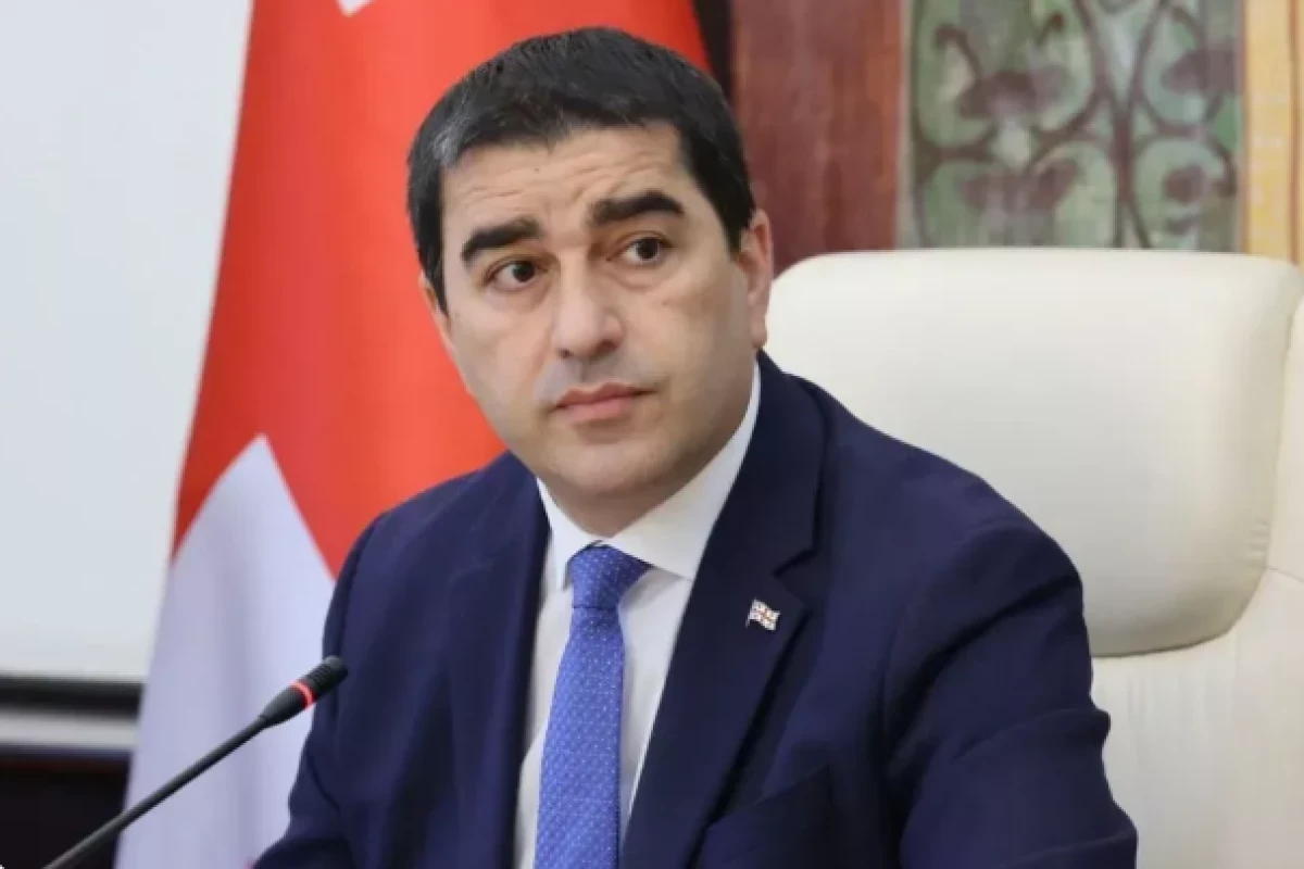Gürcüstan parlamentinin sədri Şalva Papuaşvili
