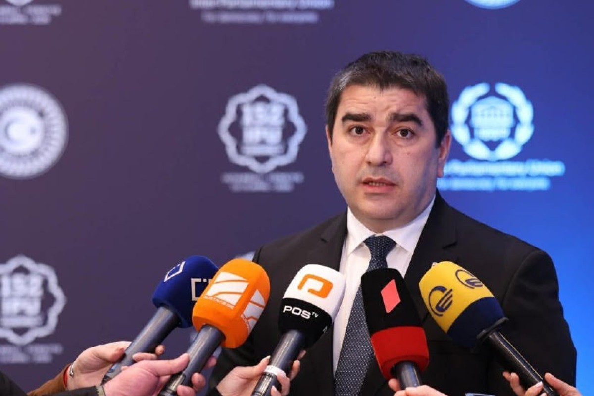 Gürcüstan parlamentinin sədri Şalva Papuaşvili