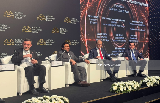 Prezidentin köməkçisi: Problemləri regiondakı tərəfdaşlarımızla birlikdə həll etməliyik