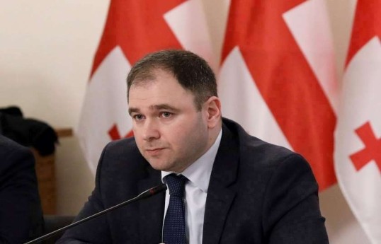 Gürcüstan parlamentinin Xarici əlaqələr komitəsinin sədri Nikoloz Samxaradze