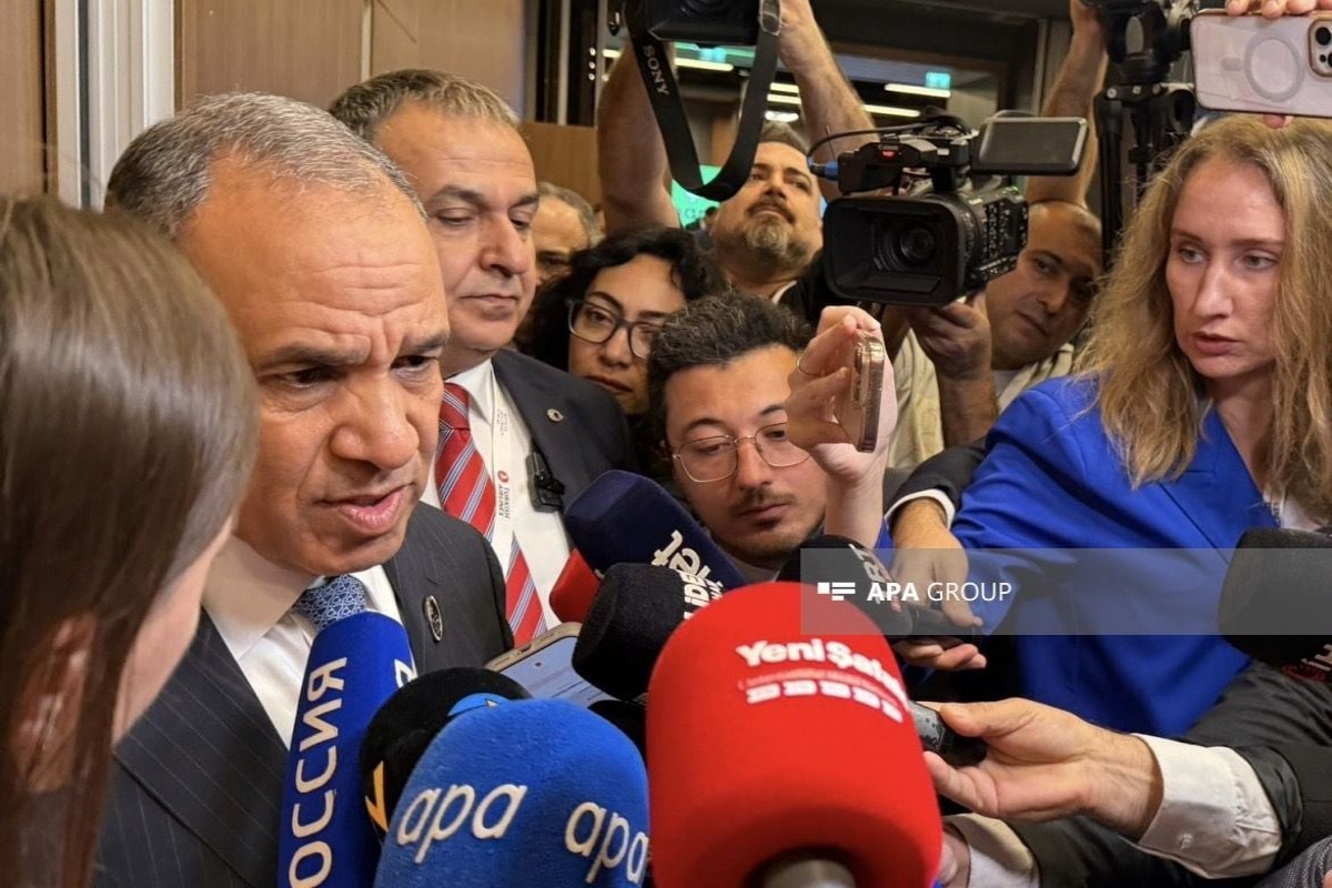 Misirin xarici işlər naziri Bədr Abdel Ati