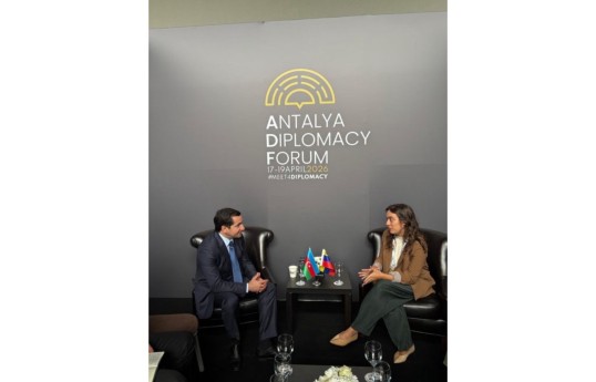 Prezident Administrasiyasının Xarici siyasət məsələləri şöbəsinin müdiri Hikmət Hacıyev və Venesuelanın xarici işlər nazirinin müavini Andrea Corao Faria