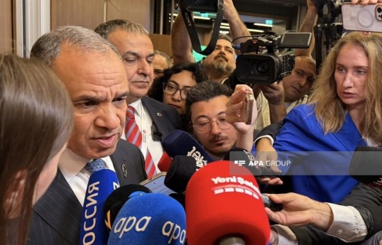 Misirin xarici işlər naziri Bədr Abdel Ati