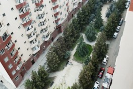FHN Gəncədə şərti yanğın təlimi keçirib, nöqsanlar aşkar olub - FOTO  - VİDEO 