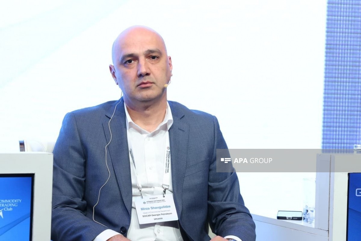 "SOCAR Georgia Petroleum": Azərbaycan Gürcüstanın dizel idxalında ikinci yerdə qərarlaşır