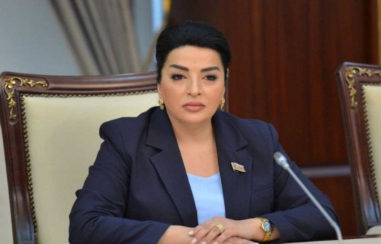 Fatma Yıldırım, Milli Məclisin Təbii ehtiyatlar, energetika və ekologiya komitəsinin sədr müavini