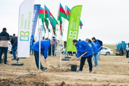 Bank of Baku-dan 1 milyon ağac hədəfinə dəstək