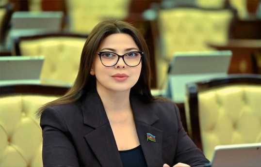 Səbinə Salmanova, Milli Məclisin deputatı