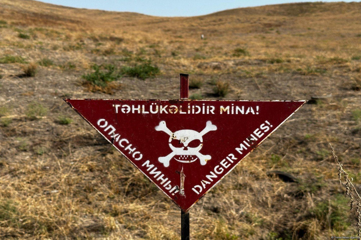 XİN: 2020-ci ildən bəri 433 nəfər mina qurbanı olub
