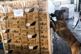 &ldquo;Şahtaxtı&rdquo; g&ouml;mr&uuml;k postunda 112 kiloqramdan artıq heroinin ke&ccedil;irilməsinin qarşısı alınıb