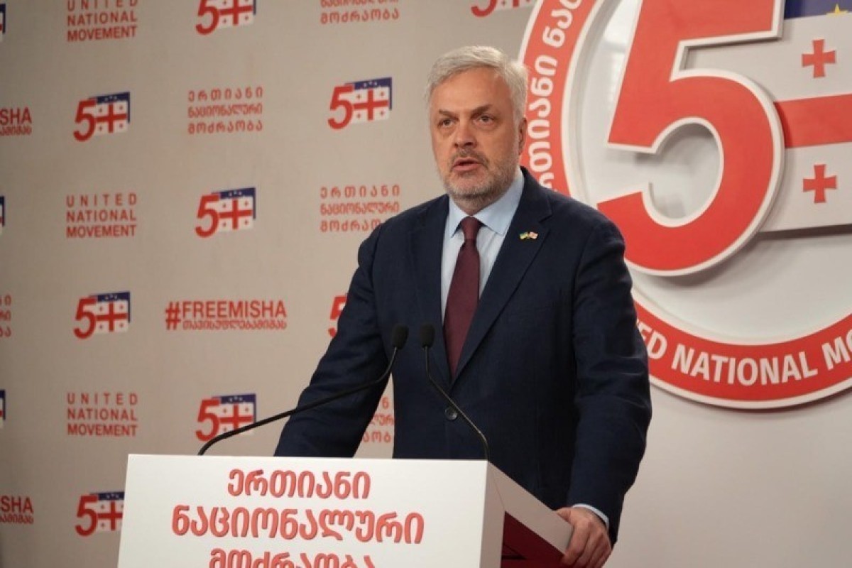 Giorgi Baramidze, a member of the opposition United National Movement party