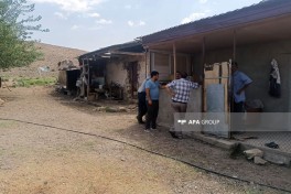 Tovuzda 65 yaşlı qadın qətlə yetirilib, qardaşı oğlu tutulub- YENİLƏNİB  - FOTO 