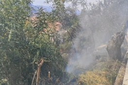 Laçında yaşayış evlərinin yaxınlığında yanğın olub - FOTO 