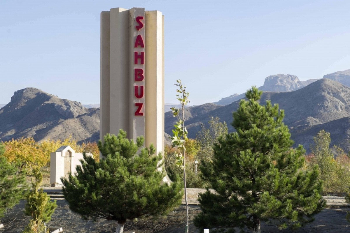 Şahbuzda avtomobil aşıb, sərnişin ölüb