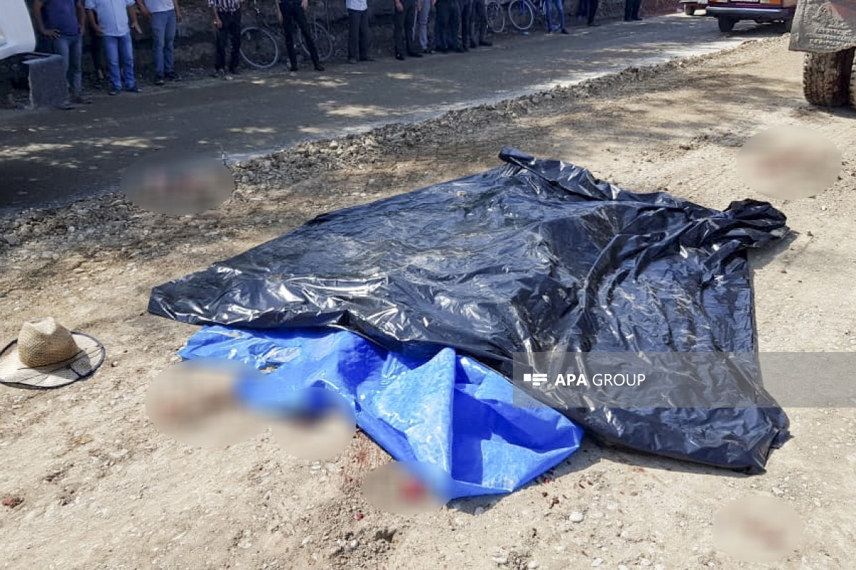Lənkəranda itkin kimi axtarılan iki nəfərin meşədə meyiti tapılıb