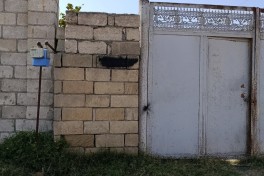 Xaçmazda divarlara narkotik vasitələri təbliğ edən yazılar yazan şəxslər saxlanılıb - FOTO 