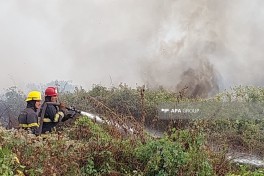 Lənkəranda açıq sahədə yanğın başlayıb - FOTO 