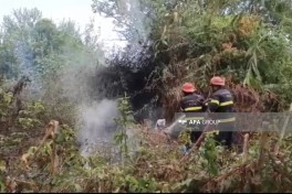Lənkəranda bir neçə kənd və qəsəbədə yanğın baş verib - FOTO  - YENİLƏNİB 