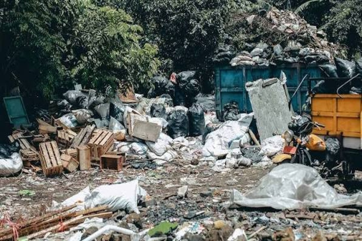 Gəncədə zibil poliqonunda ölü dölün tapılması ilə bağlı araşdırma başladılıb