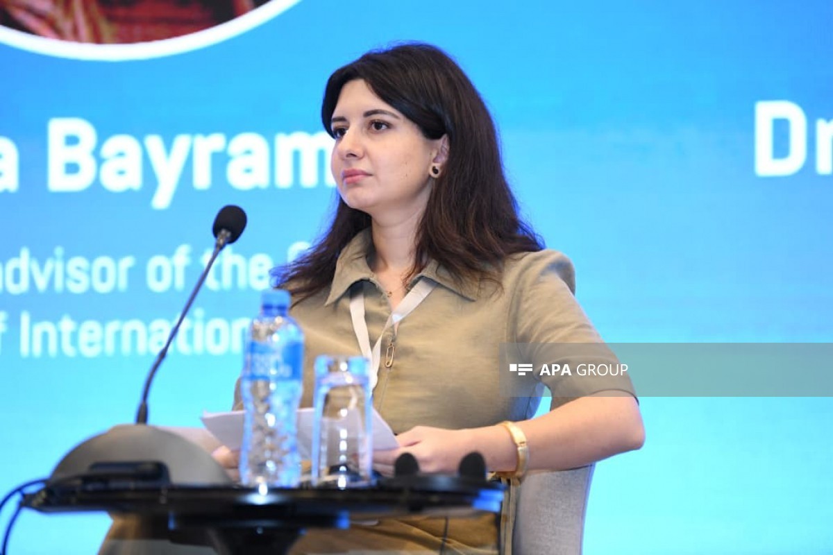 Roza Bayramlı, Beynəlxalq Münasibətlərin Təhlili və Multikulturalizm Mərkəzinin baş məsləhətçisi, Mərkəzi Asiya regionu, nəqliyyat-logistika məsələləri və Türk Dövlətləri Təşkilatı çərçivəsində əməkdaşlıq üzrə ekspert