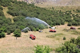 Şahbuz rayonunda meşəlik ərazidə yanğın-taktiki təlim keçirilib - FOTO 
