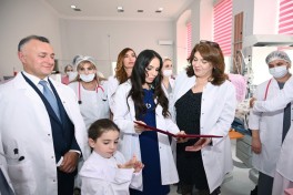 Birinci vitse-prezident Mehriban Əliyeva Elmi-Tədqiqat Pediatriya İnstitutunu ziyarət edib