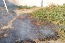Lənkəranda yanğının ətraf ərazilərə keçməsinin qarşısı alınıb