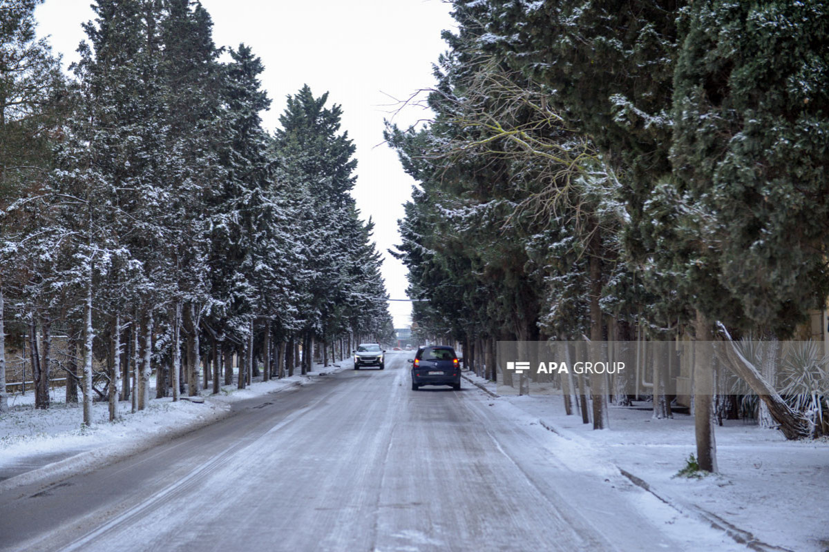 Bakıya qar yağacaq, yollar buz bağlayacaq - SABAHIN HAVASI 
