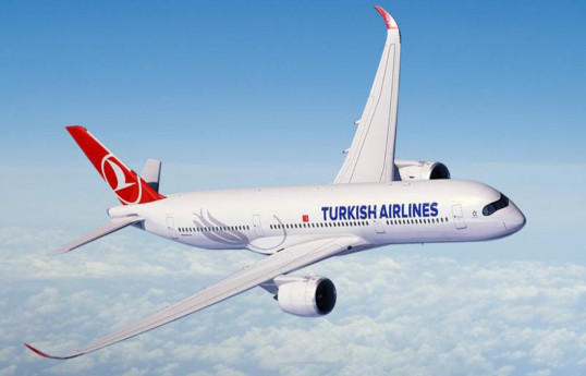 "Türk Hava Yolları"na məxsus təyyarənin mühərriki yandığına görə Hindistanda təcili eniş edib