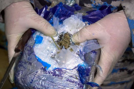 İrandan Rusiyaya gedən yük maşınında 51 kq marixuana aşkarlanıb