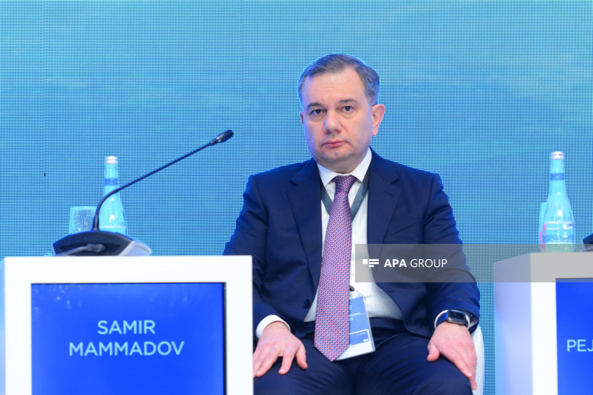 Nazir müavini: Kibertəhlükəsizliyin gücləndirilməsi üçün sistemli tədbirlər görülür