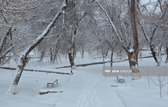 Qar yağacaq, temperatur 8 dərəcə enəcək - XƏBƏRDARLIQ 