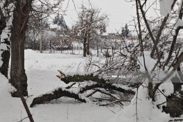 Cəlilabadda qarlı hava yol qəzalarına səbəb olub