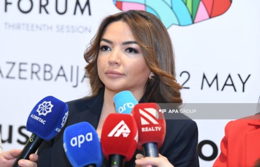 QHT-lərə Dövlət dəstəyi Agentliyinin idarə heyətinin sədri Aygün Əliyeva