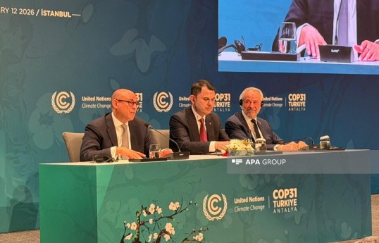 Saymon Stil: COP29 Bakıda çox mühüm qərarların qəbul edilməsi ilə yadda qaldı