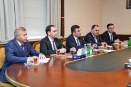 Aİ səfiri Naxçıvana səfər edib