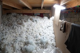 Bakıda mebel sexinin fəaliyyəti dayandırılıb - FOTO 