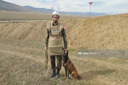 FHN Ağdamda minatəmizləmə əməliyyatları icra olunan ərazilərə media-tur təşkil edib - FOTO 