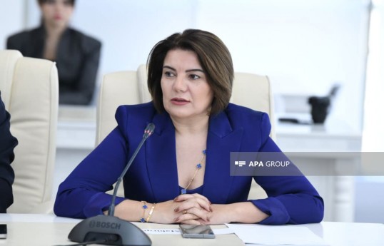 “APA Media Group”un baş direktoru, Azərbaycan Mətbuat Şurası Dil Komissiyasının sədri Vüsalə Mahirqızı