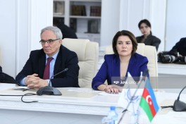 "Medianın dili elmi müzakirə müstəvisində" adlı konfrans keçirilib - FOTO 